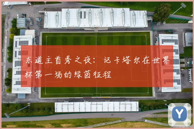 东道主首秀之夜：记卡塔尔在世界杯第一场的绿茵征程